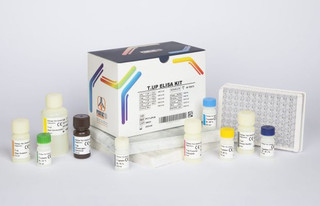 کیت الایزا T-UPTAKE (96تستی)